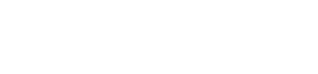 Silberfuchs Connection Logo